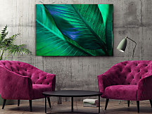 Obraz Banánovník 1813